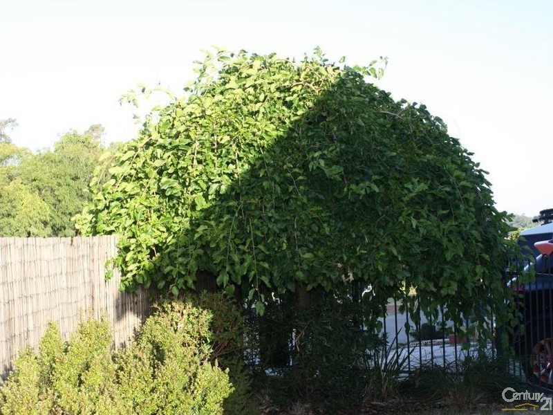 181 Norton Promenade, Dalyellup WA 6230