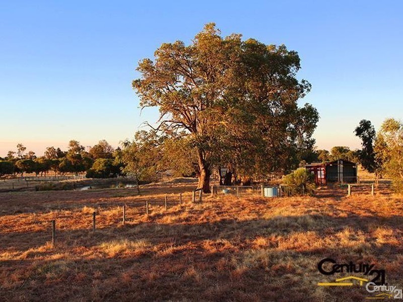 1 Hollyford Place, Dardanup West WA 6236