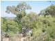 1 Mawson Court, Leschenault WA 6233