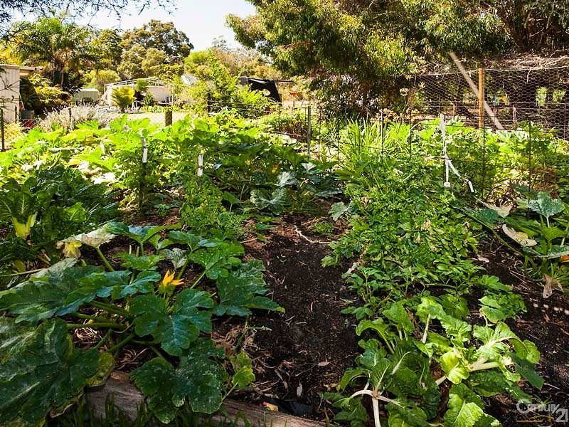 93 Elinor Bell Road, Leschenault WA 6233