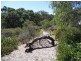 Lot 13 621 Lake Preston Road, Myalup WA 6220