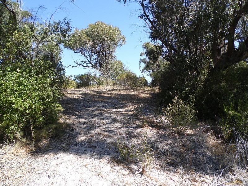 Lot 13 621 Lake Preston Road, Myalup WA 6220