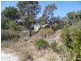Lot 13 621 Lake Preston Road, Myalup WA 6220