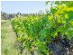 113 Scott Road, Yoganup WA 6275