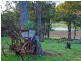 113 Scott Road, Yoganup WA 6275