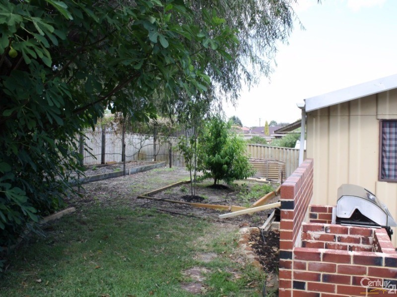 17 Diadem Street, Eaton WA 6232