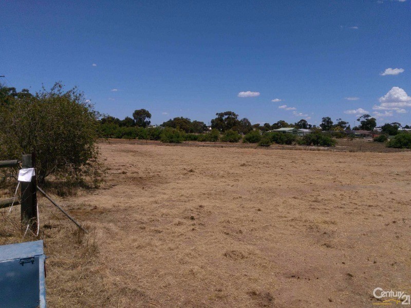 25 Forrest Hill Road, Katanning WA 6317