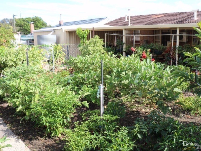 89 Mangles Street, South Bunbury WA 6230