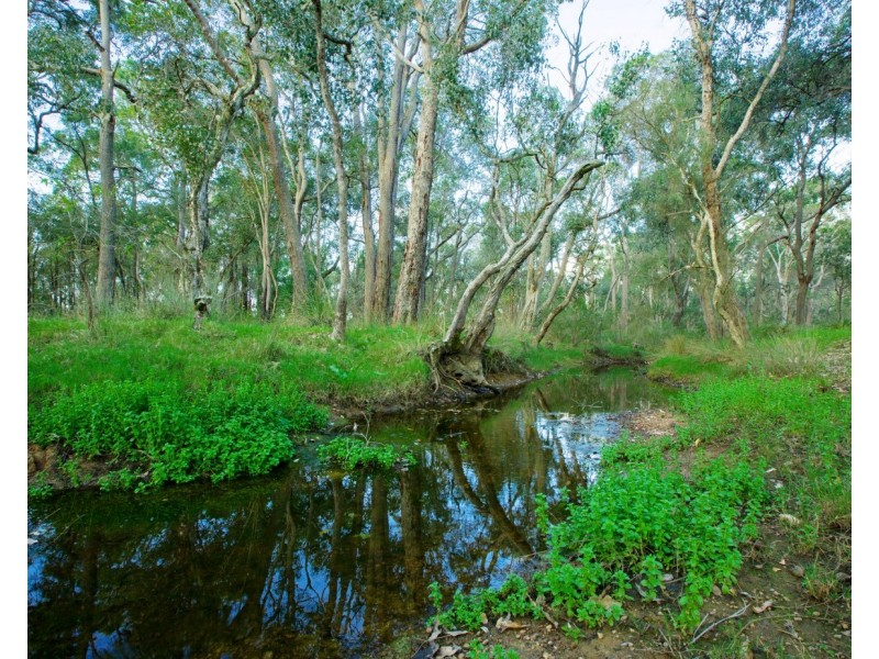 659 Downs Road, Tutunup WA 6280