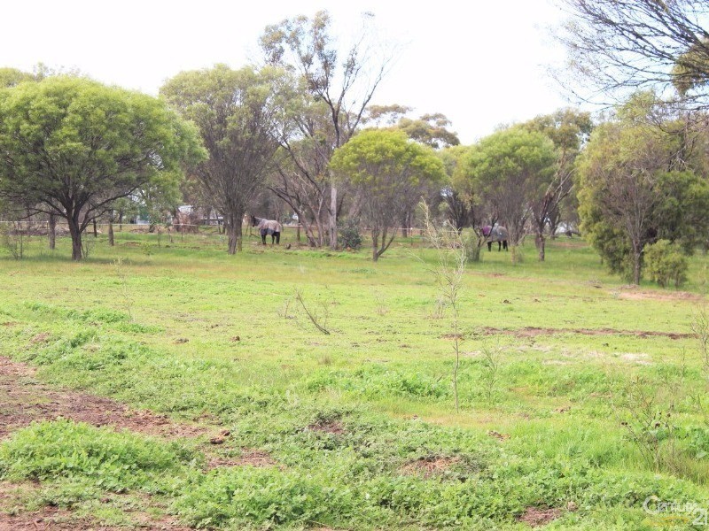 113 Clifford Street, Cuballing WA 6311