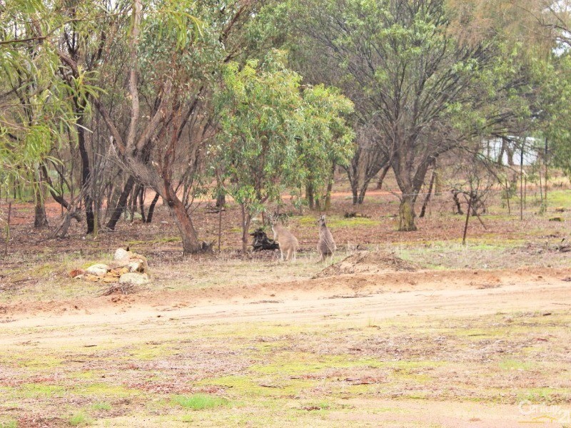 113 Clifford Street, Cuballing WA 6311