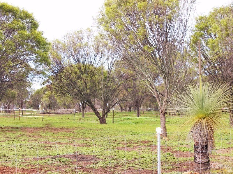 113 Clifford Street, Cuballing WA 6311