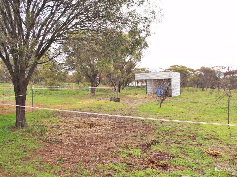 113 Clifford Street, Cuballing WA 6311