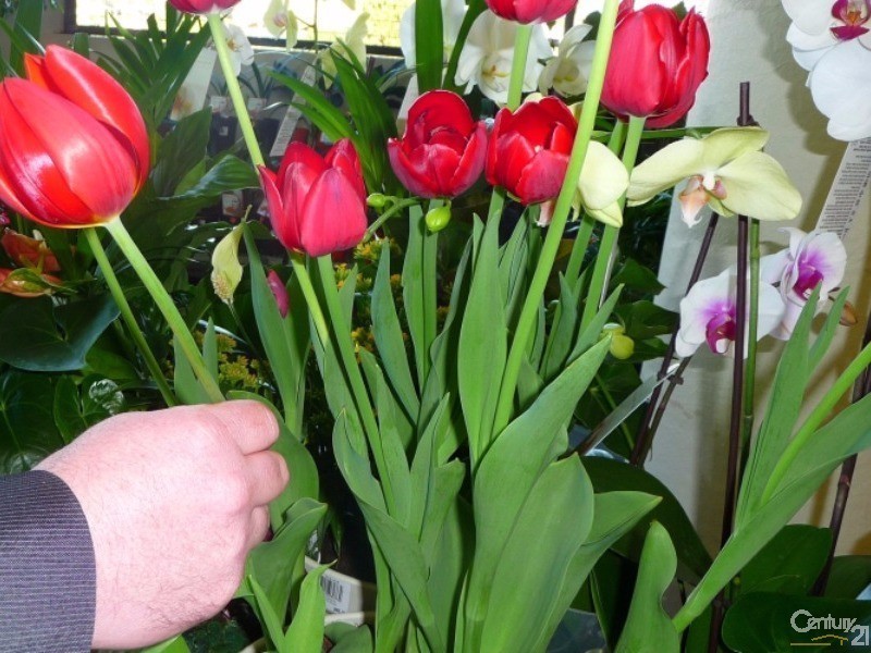 113 Strickland Street, East Bunbury WA 6230