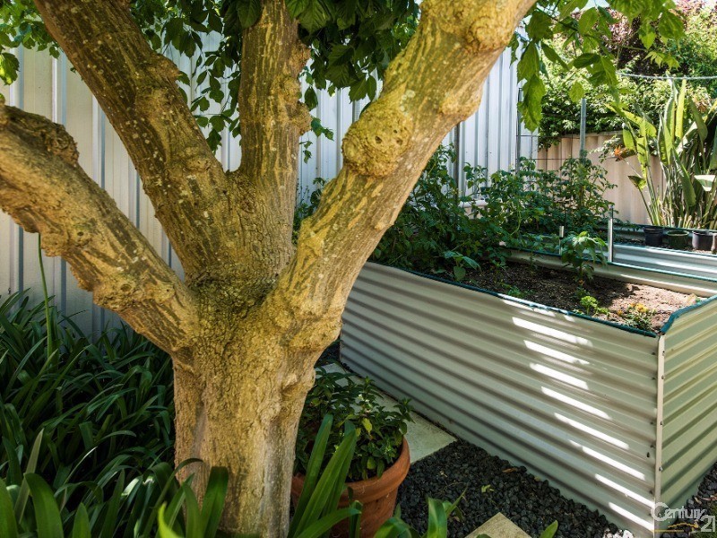 7 Albion Rise, Australind WA 6233