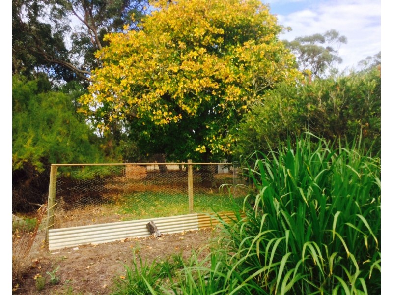 34 Lincoln Street, Boyanup WA 6237