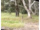 34 Lincoln Street, Boyanup WA 6237