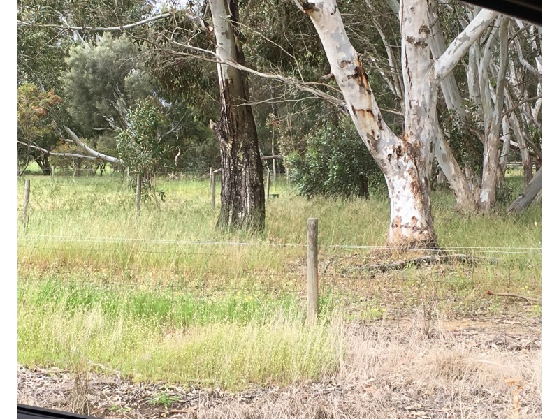 34 Lincoln Street, Boyanup WA 6237