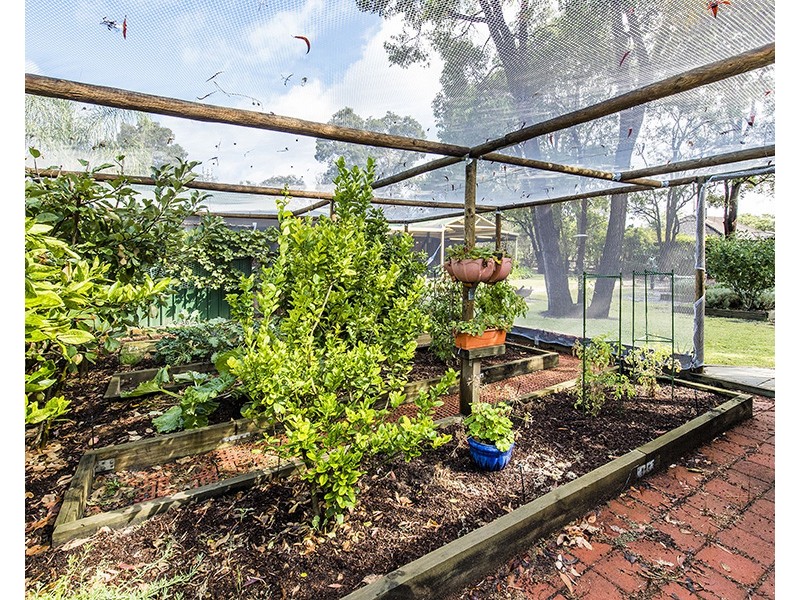 2 Tamarind Crescent, Gelorup WA 6230