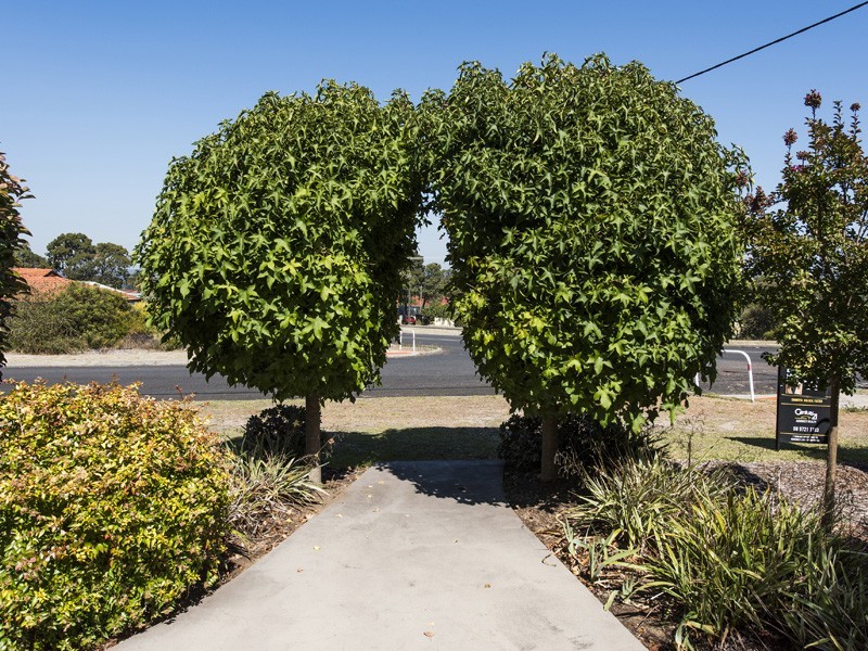 22 Carma Avenue, Collie WA 6225