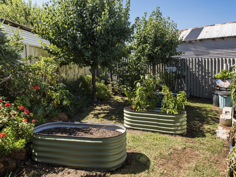 22 Carma Avenue, Collie WA 6225