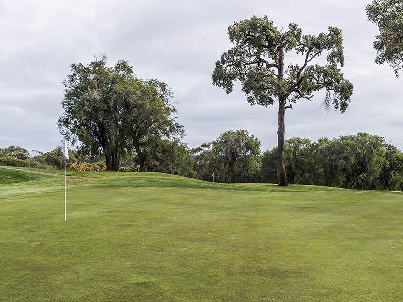 46 Mayne Way, Australind WA 6233