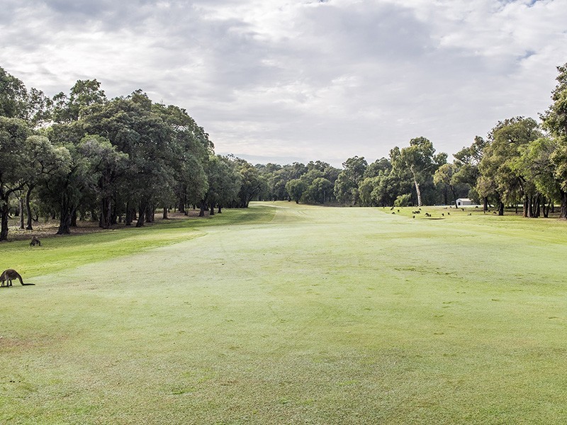 46 Mayne Way, Australind WA 6233