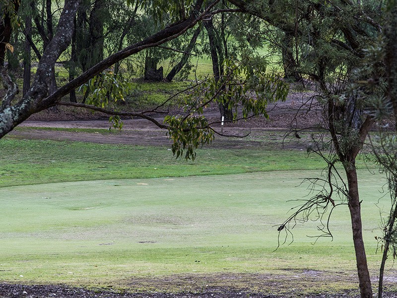 46 Mayne Way, Australind WA 6233