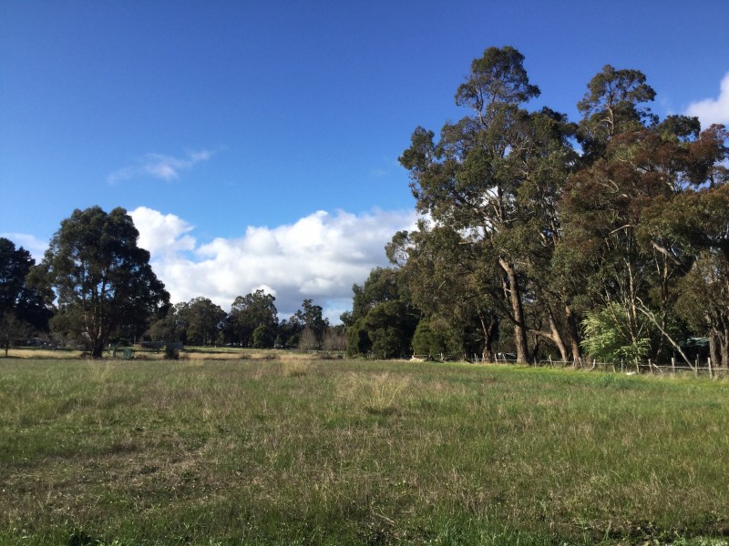 12 Grant Street, Allanson WA 6225