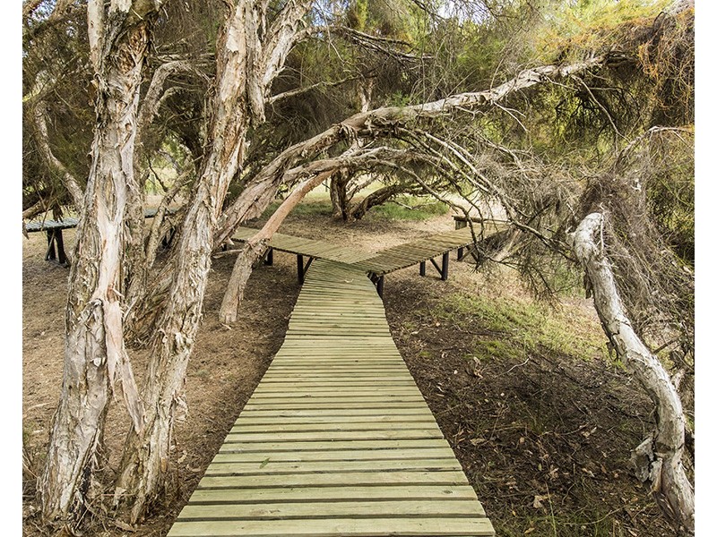 17 Clara Court, Dardanup West WA 6236