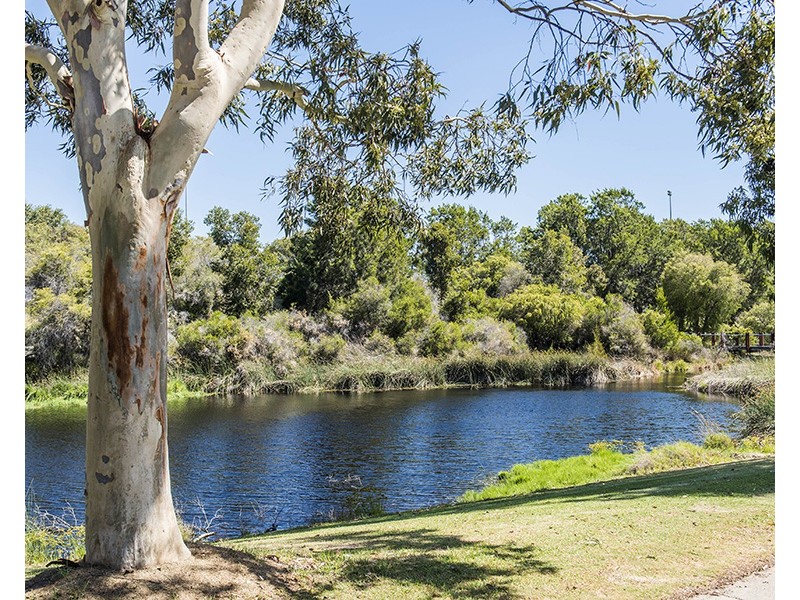 11 Westfield Way, Australind WA 6233