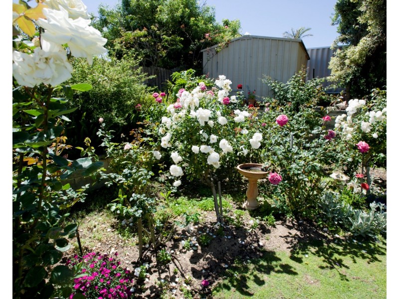 231 Old Coast Road, Australind WA 6233