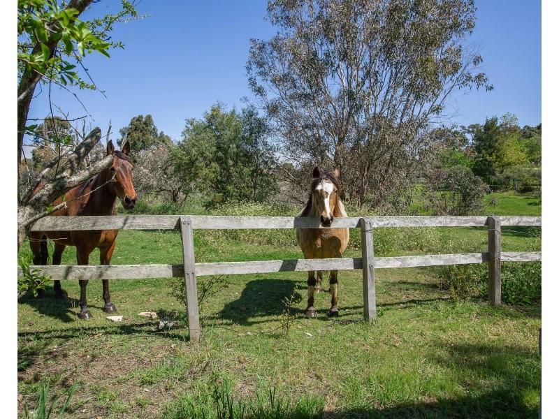 159 Capel Drive, Capel WA 6271