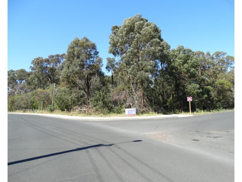 20 Sweeting Way, Withers WA 6230