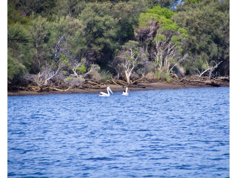 16 Malabor Retreat, Eaton WA 6232