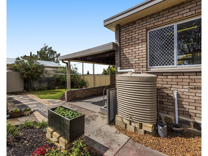 22 Carma Avenue, Collie WA 6225