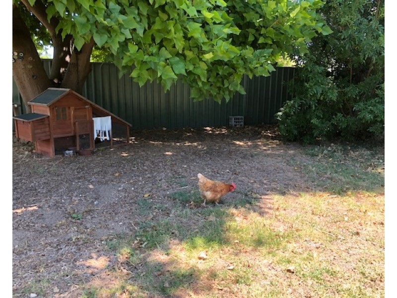 3 Herbert Road, East Bunbury WA 6230