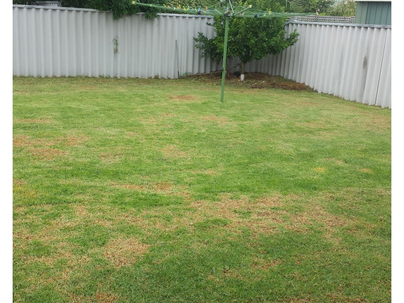 66 Avocet Boulevard, Geographe WA 6280