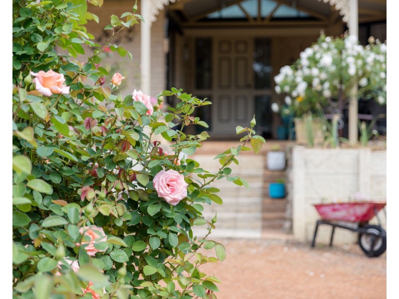 173 Riverdale Road, Cookernup WA 6220