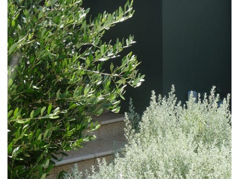 1/21 Bennett Way, Bunbury WA 6230