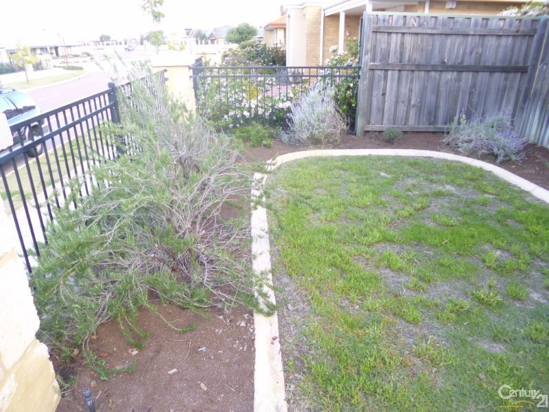 16 Elmina avenue, Ellenbrook WA 6069
