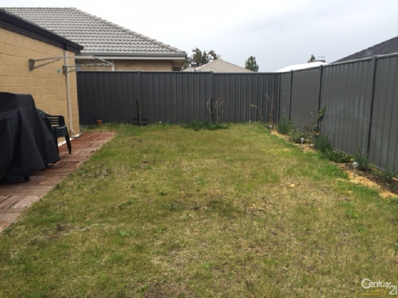 6 Astrolux Court, Banksia Grove WA 6031