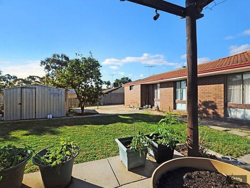 29 Grey Road, Padbury WA 6025