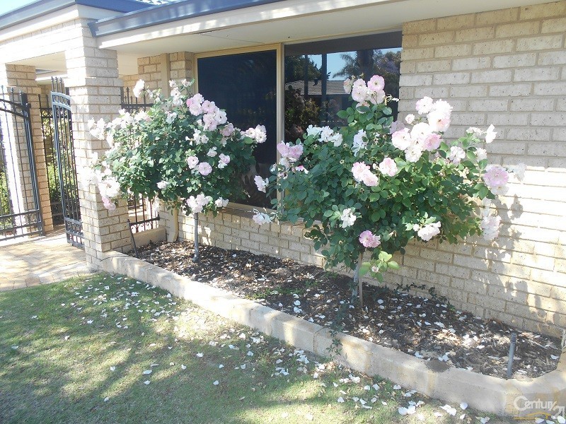 11 Bodensee Grove, Joondalup WA 6027