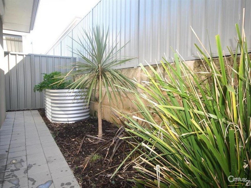 18 Leontes Way, Coolbellup WA 6163