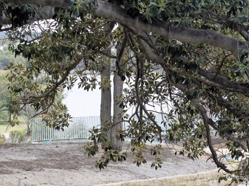 43/11 Tanunda Drive, Rivervale WA 6103