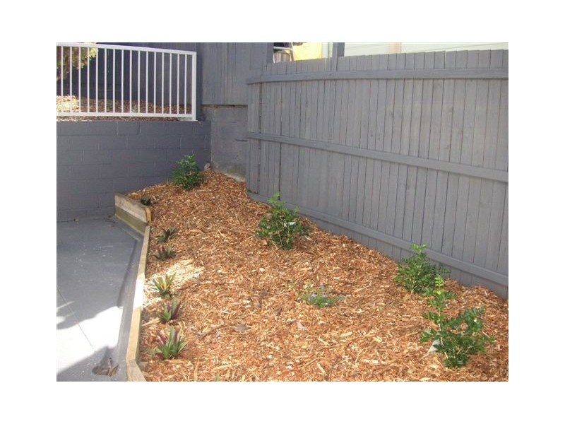 115 Kirkland Avenue, Coorparoo QLD 4151