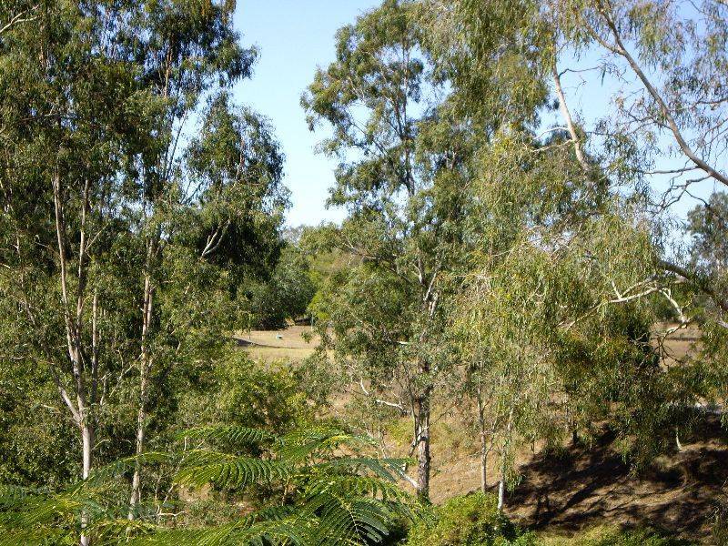 3  Kathleen Crescent, Bellbowrie QLD 4070