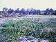 Waterford QLD 4133