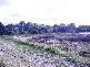 Waterford QLD 4133